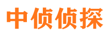 大荔外遇出轨调查取证